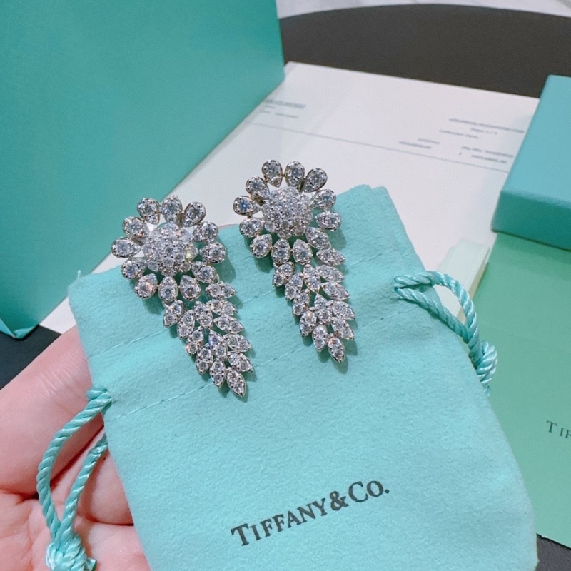 T*f*ny earrings